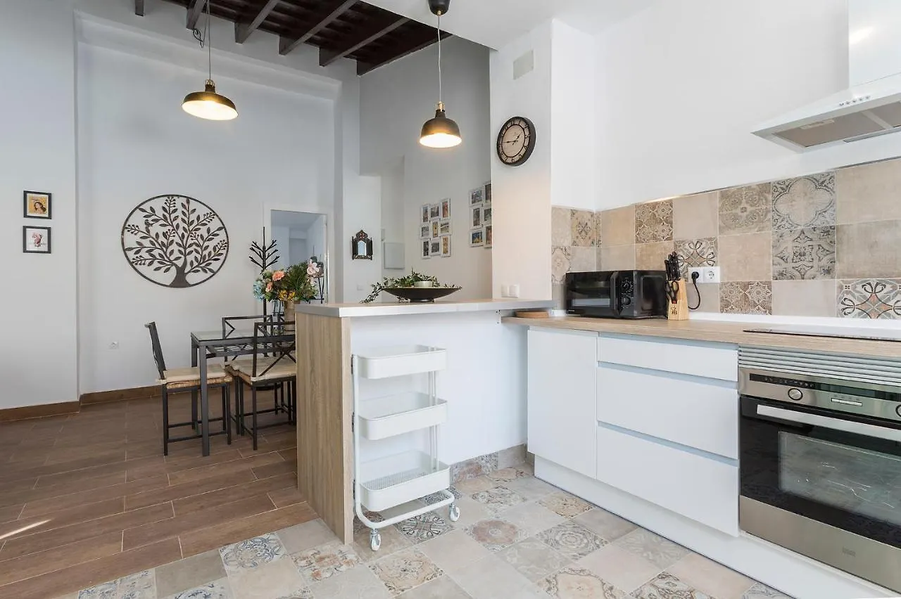 San Miguel Tranquilo Moderno Apartment Jerez de la Frontera Spain